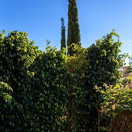 Apartamento Bajo Encantador Y Familiar En Benahavis Estepona